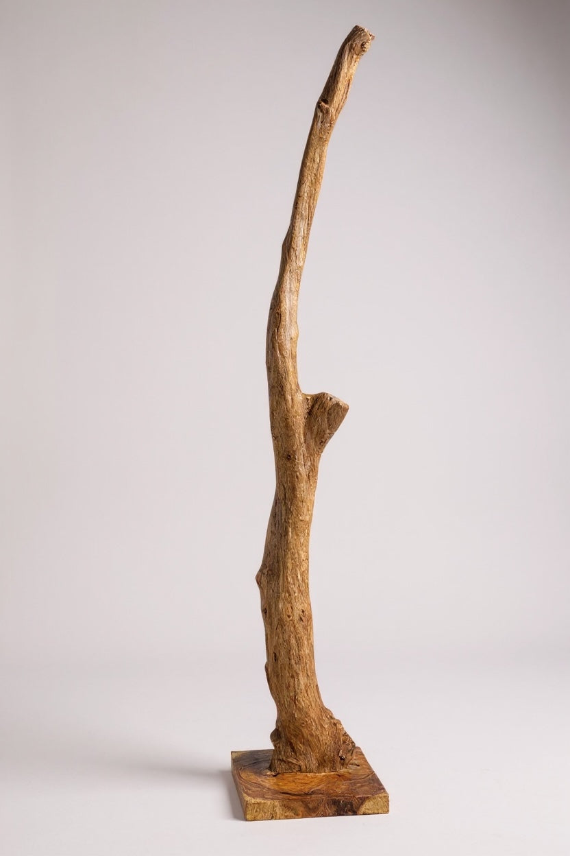 Teakholz Standfuß Naturwurzel – handgefertigtes Massivholz Unikat, dekorativer Holzfuß für Lampen & Wohnraum - 180–200 cm Höhe Ø 8–13 cm