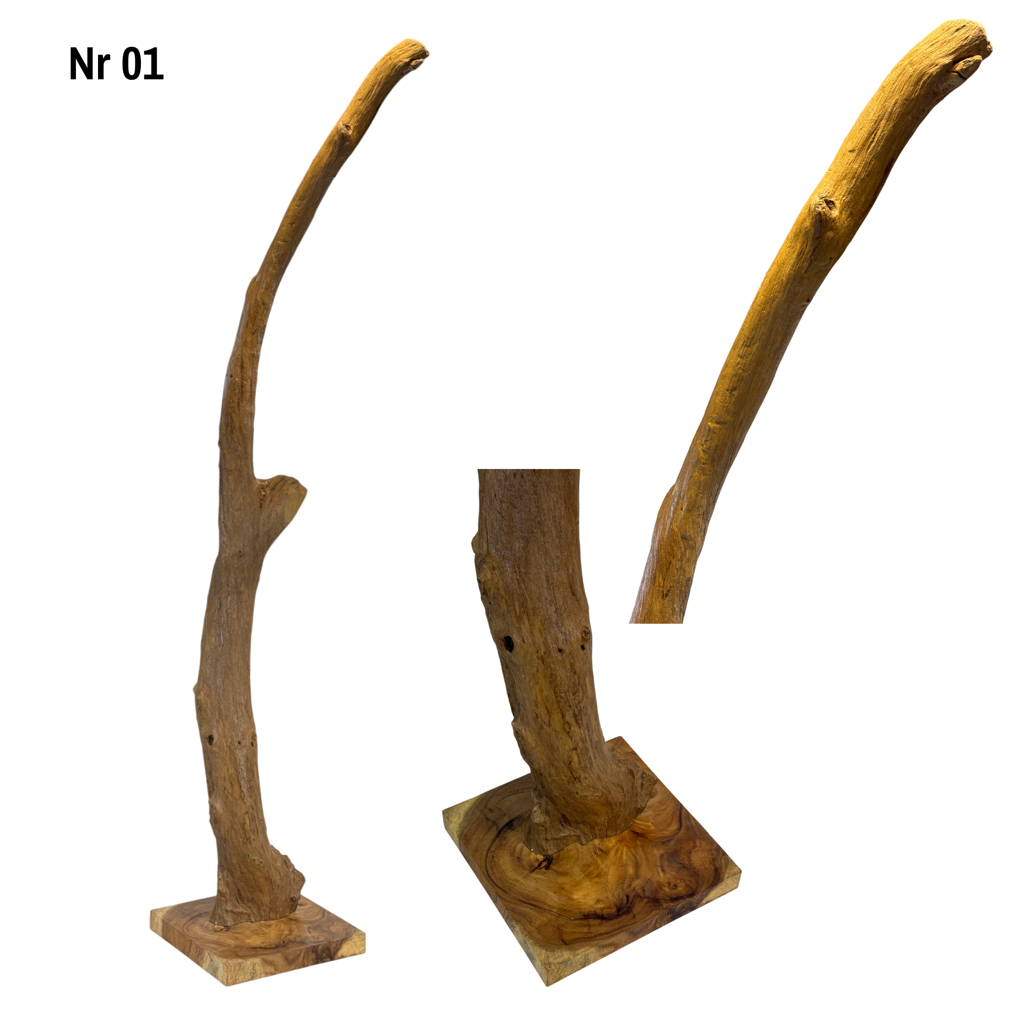 Teakwood base natural root – handmade solid wood unique, decorative wooden base for lamps & living room - 180–200 cm height Ø 8–13 cm