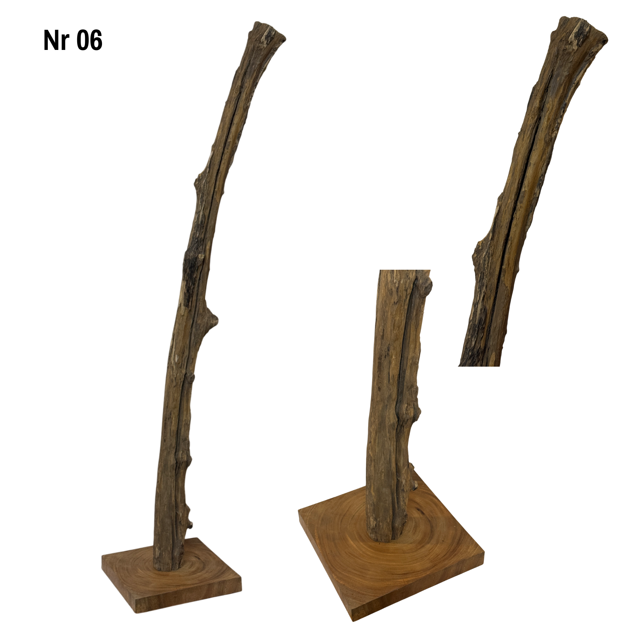 Teakwood base natural root – handmade solid wood unique, decorative wooden base for lamps & living room - 180–200 cm height Ø 8–13 cm