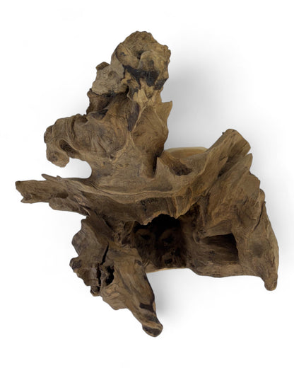 Unique piece: Teak wood decorative sculpture – Natural root wood, one-of-a-kind for living and garden areas