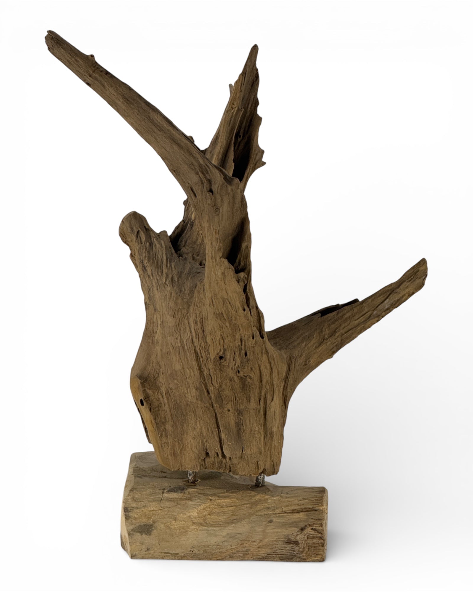 Einzelstück: Einzigartiges Wurzelholz-Dekoobjekt aus Teak - 52 × 38 × 23 cm