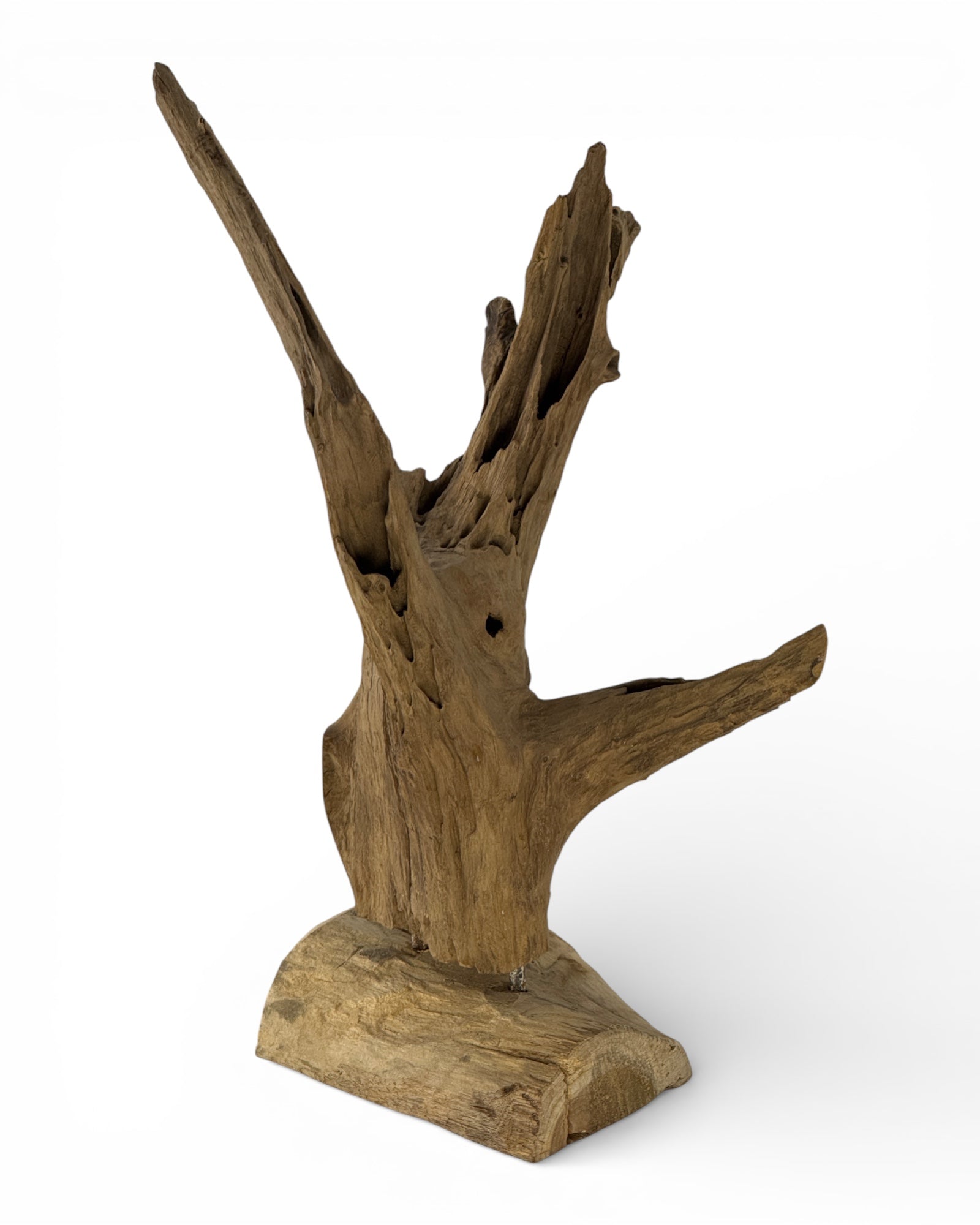 Einzelstück: Einzigartiges Wurzelholz-Dekoobjekt aus Teak - 52 × 38 × 23 cm
