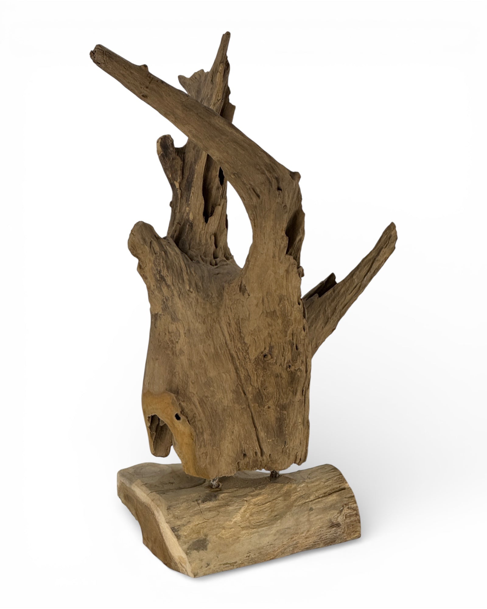 Einzelstück: Einzigartiges Wurzelholz-Dekoobjekt aus Teak - 52 × 38 × 23 cm
