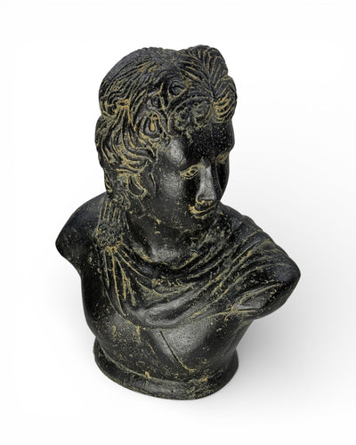 David Bust Sculpture – Garden Patio Living Room Decor – Weatherproof – Stone Statue Antique Style Black Gold – 40x30x17 cm
