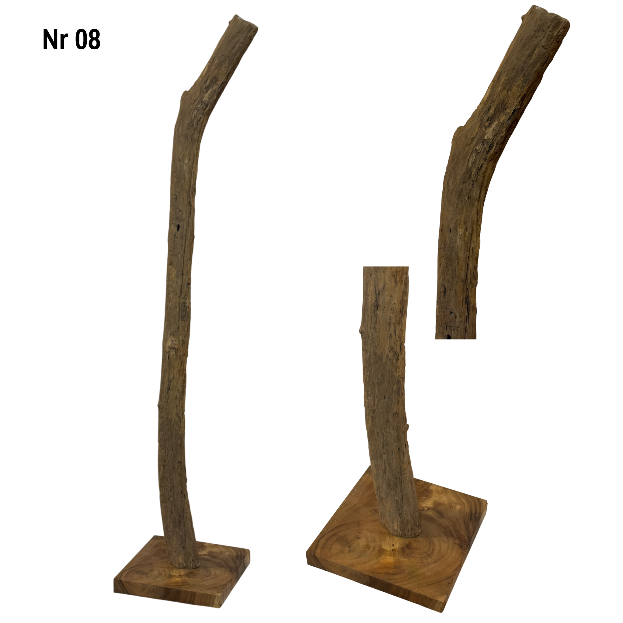 Teakwood base natural root – handmade solid wood unique, decorative wooden base for lamps &amp; living room - 180–200 cm height Ø 8–13 cm