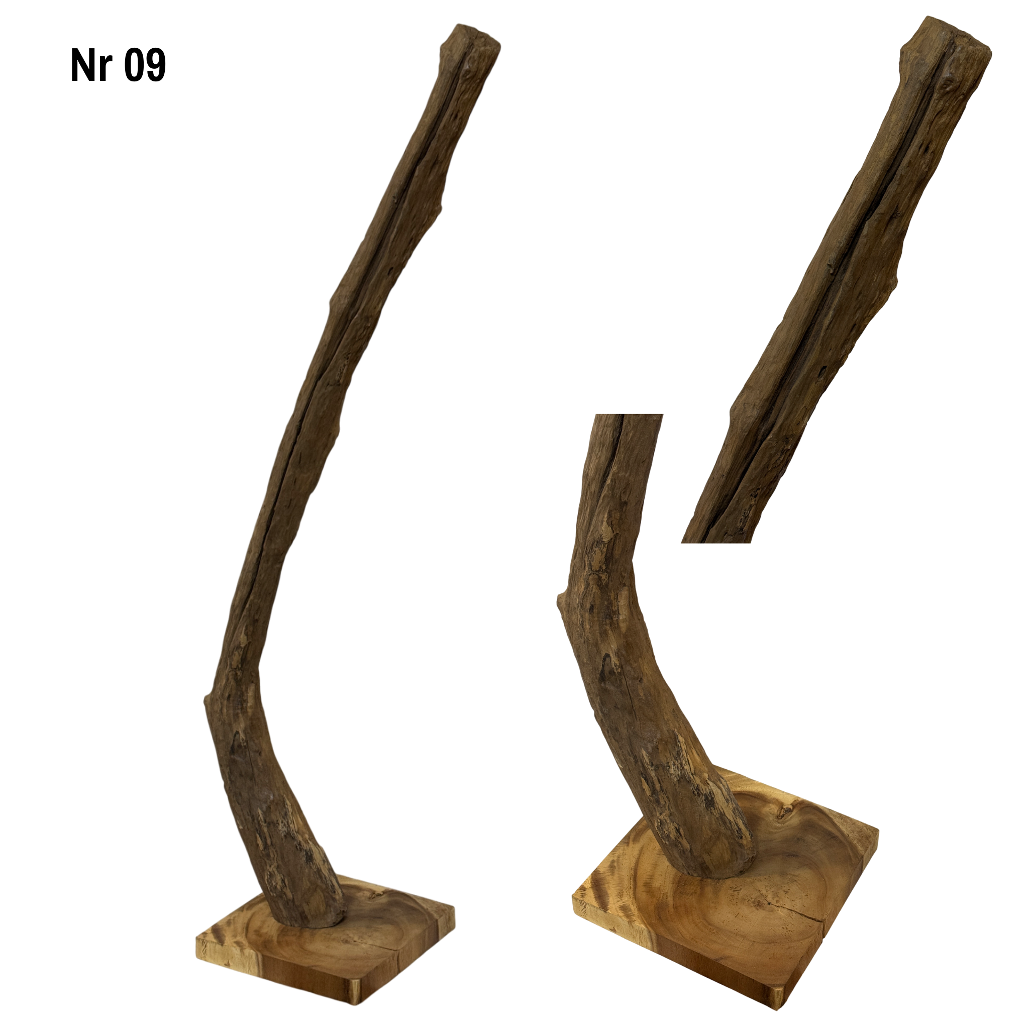 Teakwood base natural root – handmade solid wood unique, decorative wooden base for lamps &amp; living room - 180–200 cm height Ø 8–13 cm