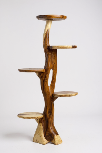 Teak shelf – Natural design with unique wood grain – Versatile home accessory for plants, books &amp; decorations – Various sizes
