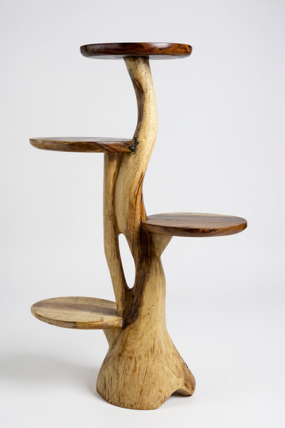 Teak shelf – Natural design with unique wood grain – Versatile home accessory for plants, books &amp; decorations – Various sizes