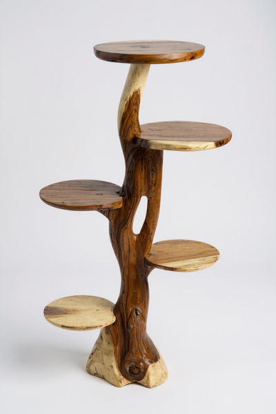 Teak shelf – Natural design with unique wood grain – Versatile home accessory for plants, books &amp; decorations – Various sizes