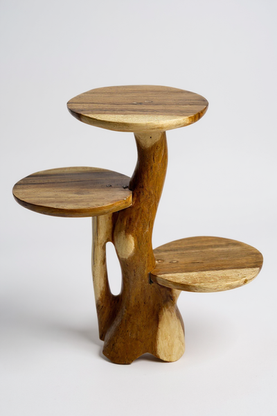 Teak shelf – Natural design with unique wood grain – Versatile home accessory for plants, books &amp; decorations – Various sizes