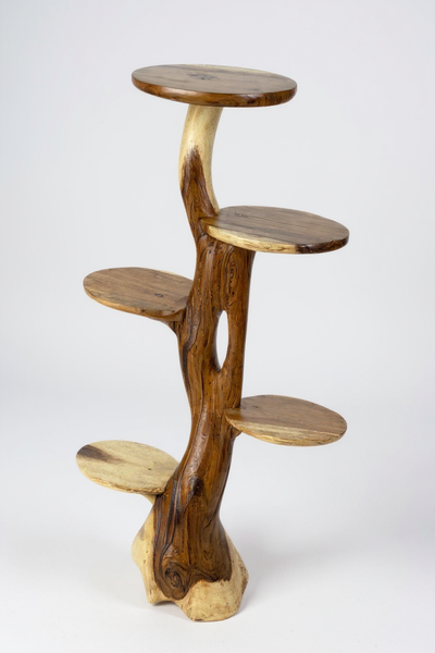 Teak shelf – Natural design with unique wood grain – Versatile home accessory for plants, books &amp; decorations – Various sizes