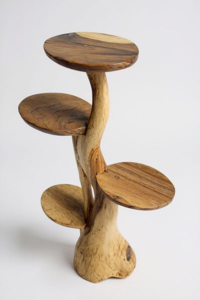 Teak shelf – Natural design with unique wood grain – Versatile home accessory for plants, books &amp; decorations – Various sizes