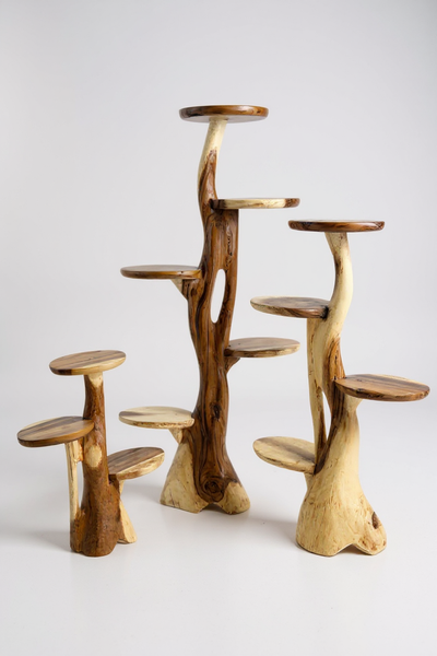 Teak shelf – Natural design with unique wood grain – Versatile home accessory for plants, books &amp; decorations – Various sizes